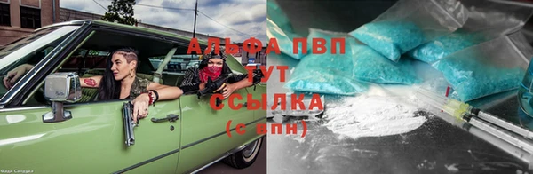 a pvp Алзамай