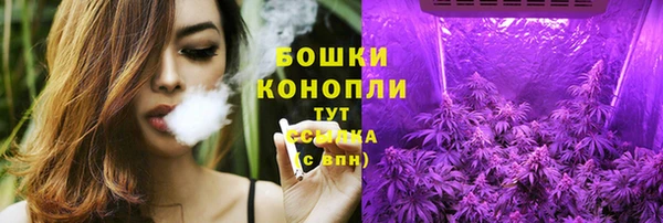 прущий лед Абаза
