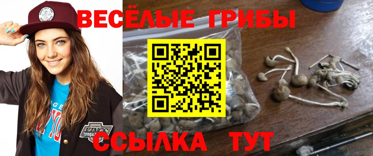 Галлюциногенные грибы Cubensis  Псилоцибиновые грибы Cubensis  Краснокамск  Вход с VPN 